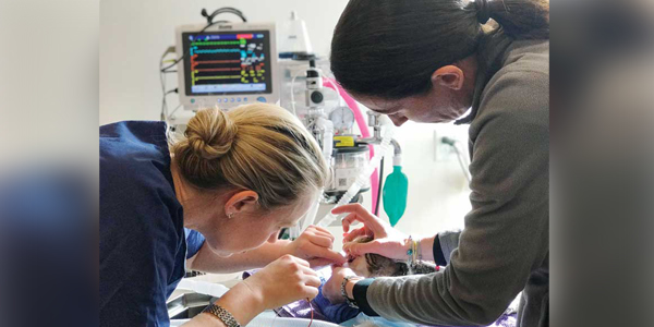 Should you combine procedures? The answer is not a simple “yes” or “no”