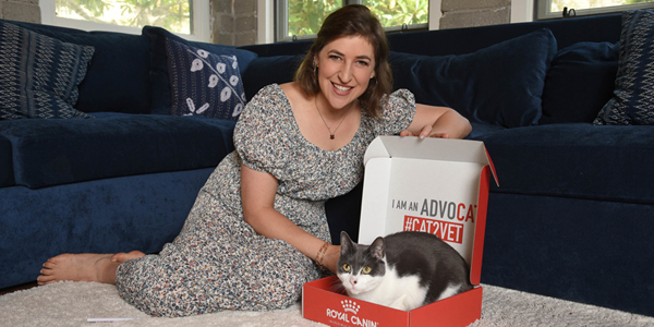 Campaign tackles feline elusiveness in clinics