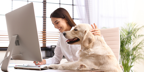 Human-animal health link explored at global convention