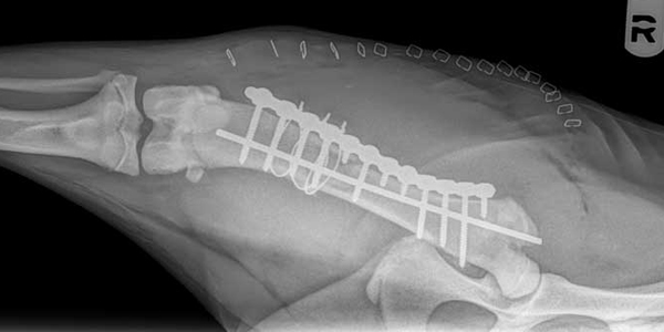10 (more) ways to be a rock star in the OR