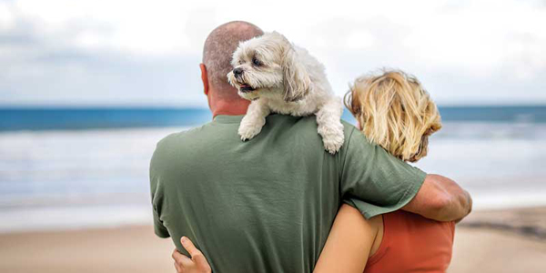 Why euthanasia will never be the same