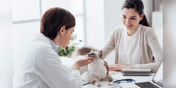 Preventive care, client payments streamlined with partnership