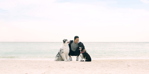 Zero-waste disposal achieved by pet food giant