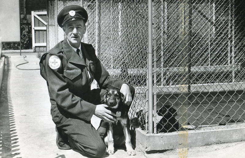 Photos courtesy B.C. SPCA Photos courtesy B.C. SPCA