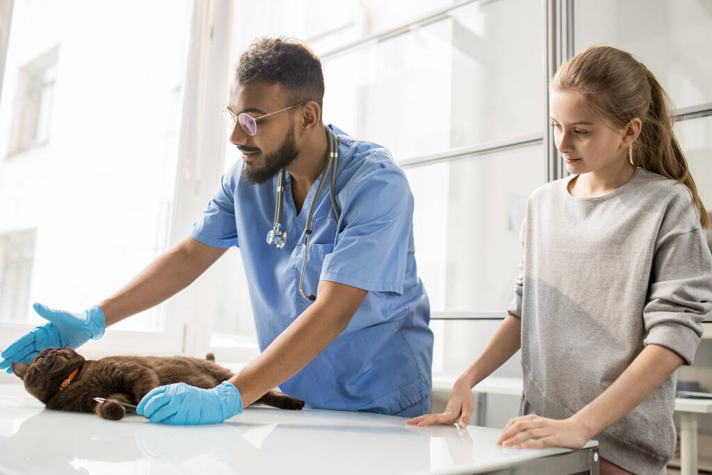 The corporatization of veterinary practices in America—Will you be a part of it?