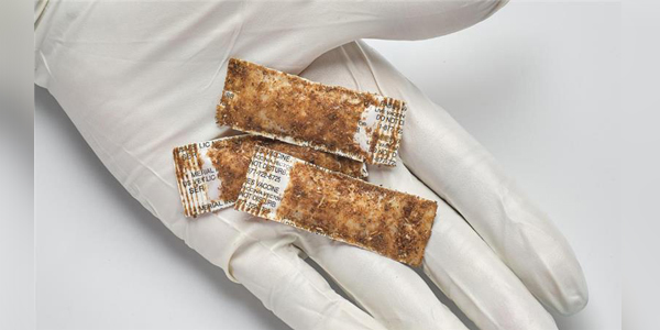 Vaccine bait aims to control rabies in U.S. wildlife