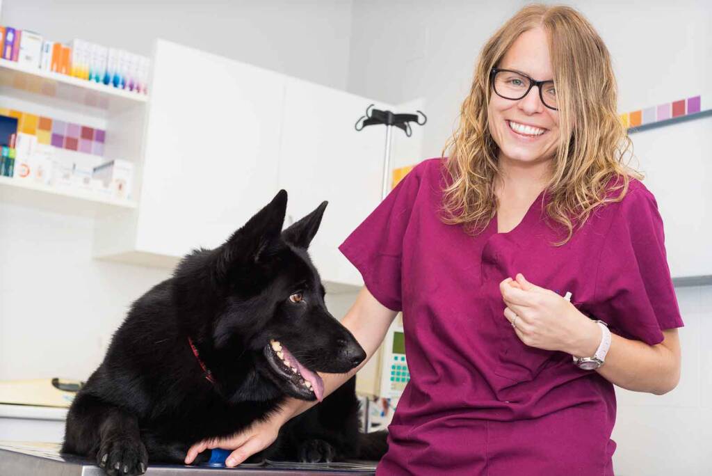 Technicians are tops: The changing role of this critical team member