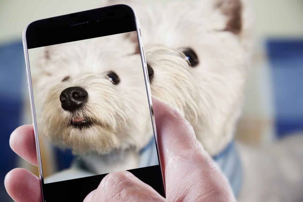 A captive audience: The power of digital communication