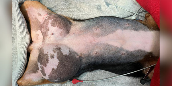 What's your diagnosis?