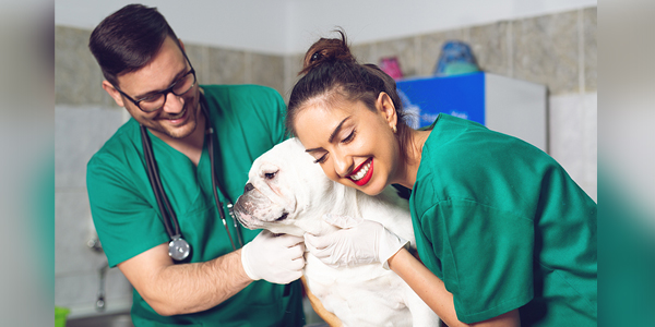 Penn. clinic named AAHA-Accredited Practice of the Year