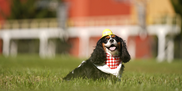 $450M facility to meet growing pet food demand