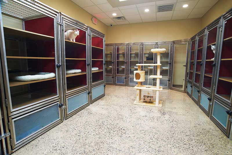 Upscale cat condos and cat towers include shelves for cats to perch on, as well as separate litter box areas.