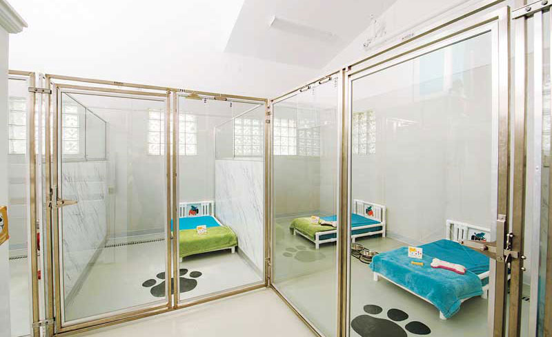 mason dog kennels