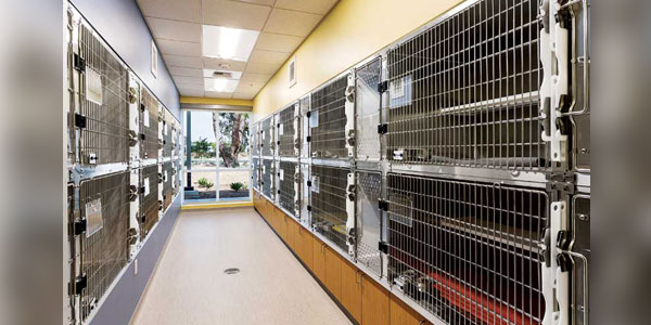 In the house: New thinking on kennels and cages