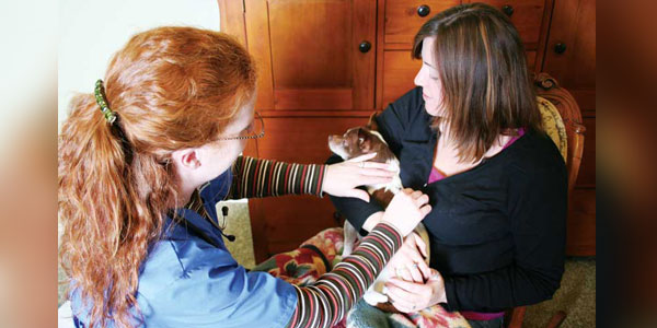 The “good death” revolution—Companion animal euthanasia in the modern age