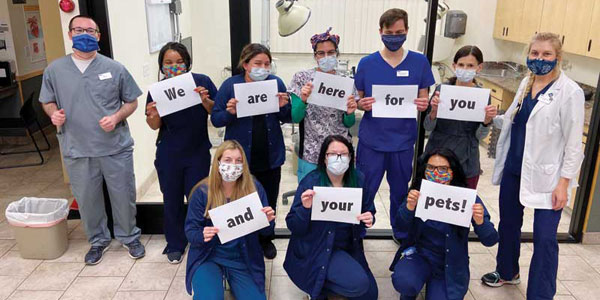 Seven ways COVID has changed how we deliver pet health care