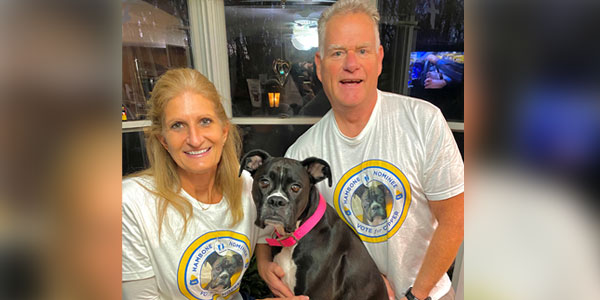 Window-busting dog tops most unusual pet insurance claims
