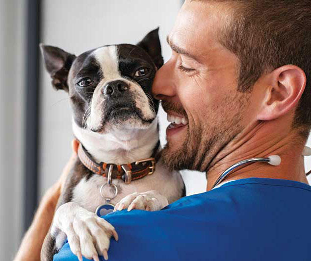 One of the most frustrating myths is veterinarians can’t be trusted to guide pet owners in making feeding choices due to lack of nutrition education and the influence of makers of the pet food stocked by a clinic.
