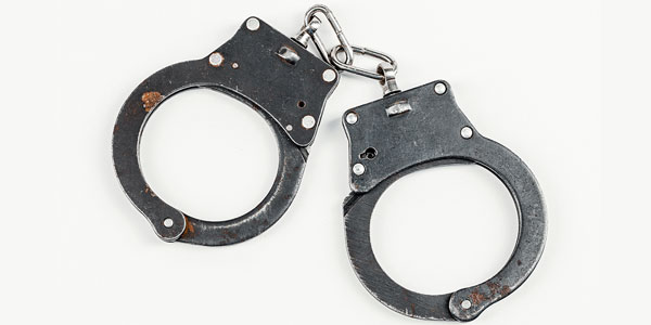 Dog’s death leads to arrest of Conn. veterinarian