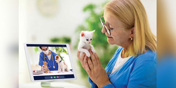 Leveraging technology to drive profitability in your practice