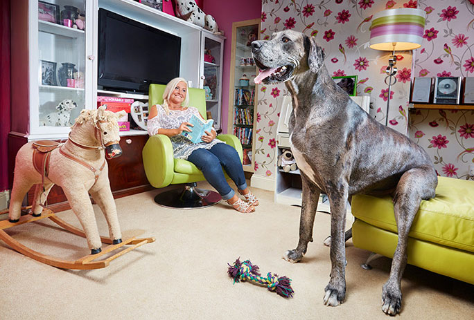 Freddy, the world’s tallest dog, has passed away.