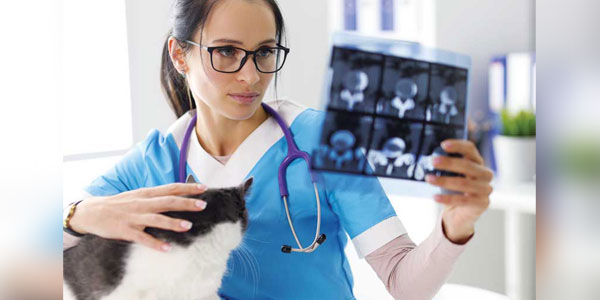 Should veterinarians adhere to scientific standards for acceptable practice?