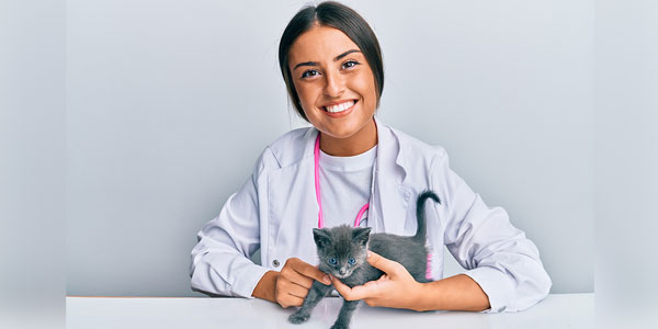 Funds available for emerging leaders in feline medicine