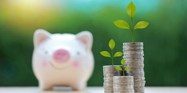 Hospital group to grow with investment partnership