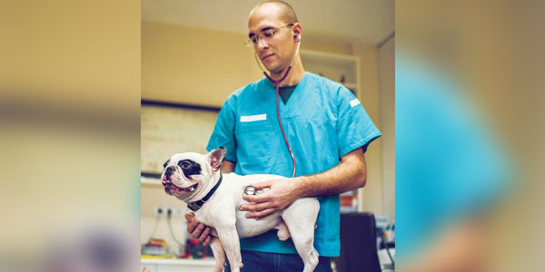 How our profession went viral: COVID-related changes in client behavior