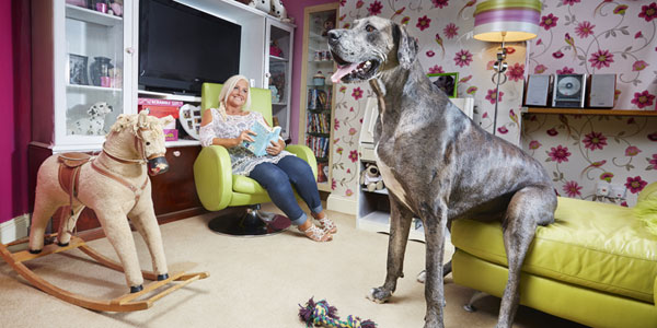 World’s tallest dog passes away