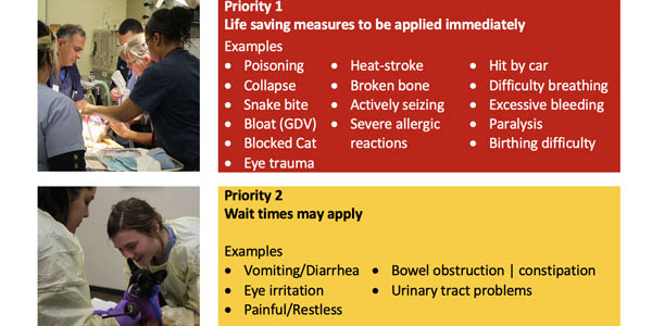 The practical art to triage emergencies