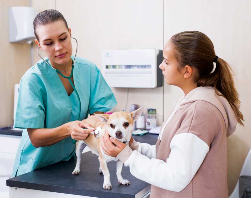 Medical treatments with important and dramatic benefits that have no meaningful side effects are extremely rare. It is more common to find the absence of adverse effects indicates the lack of any meaningful clinical effects at all. Photo courtesy ID 197846770 © Iakov Filimonov | Dreamstime.com