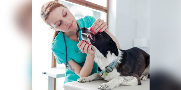 Measuring the impact of dental month discounts across three practices