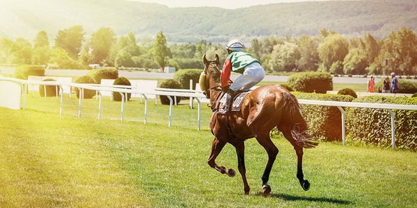 Gene-doping test supports health of racehorses