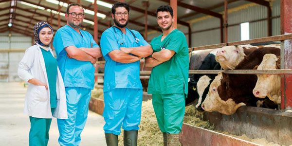 Overcoming veterinary diagnostic challenges with AI-driven POC technologies