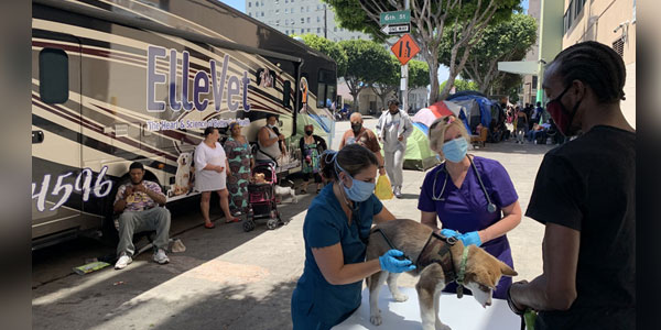 Free veterinary care program goes national