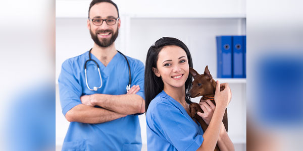 Technicians vital in fight against veterinary shortage