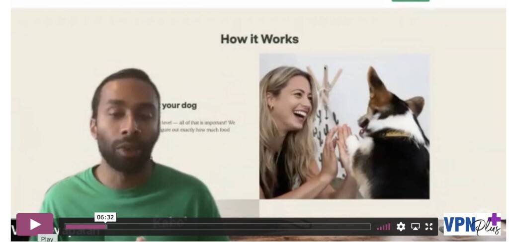 VPN Fireside Chats: How Kabo Fresh Dog Food Pivoted To Launch Veterinary Telehealth 