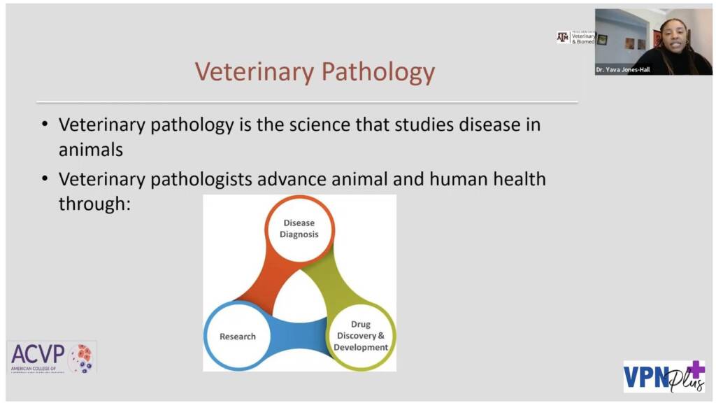VPN Fireside Chats: Intersection of Veterinary and Human Medicine