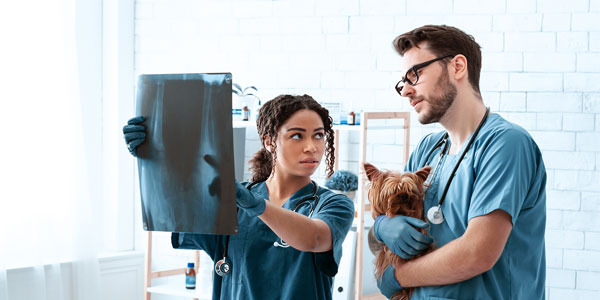 Tech Talk: Veterinary technician credentialing – a call for real change