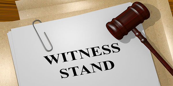 Law & order: veterinarians in court
