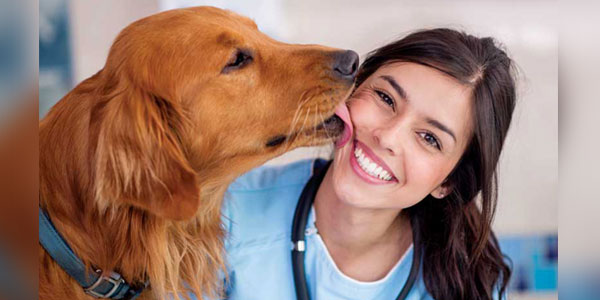 Equality is vet med’s golden opportunity