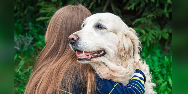 National dog study to explore CDS