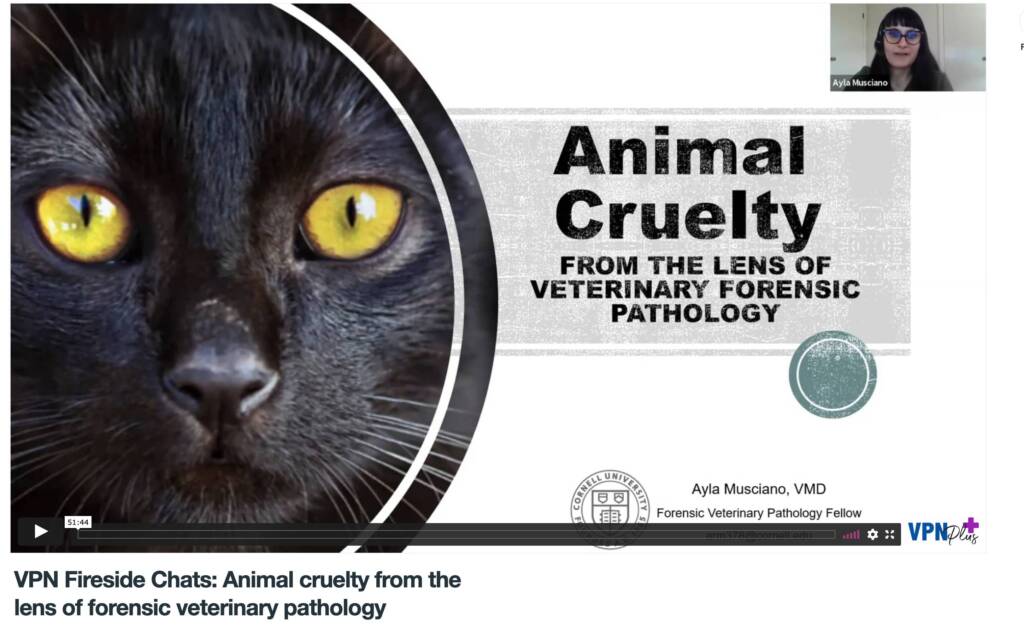 VPN Fireside Chats: Animal cruelty from the lens of forensic veterinary pathology