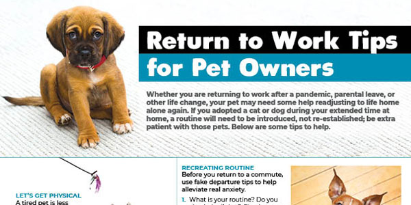 Download Return to Work Infographic for Your Clients