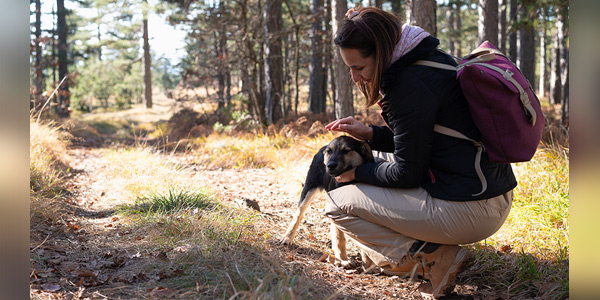 Prevention, awareness necessary to control tick-borne disease