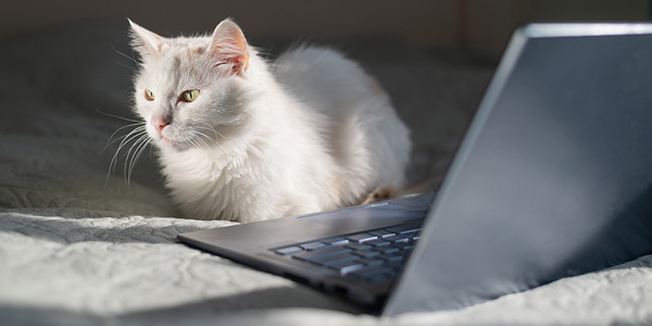 Telemedicine policy challenged by SPCA group