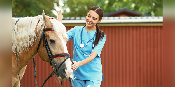 Gentle handling can ease equine care