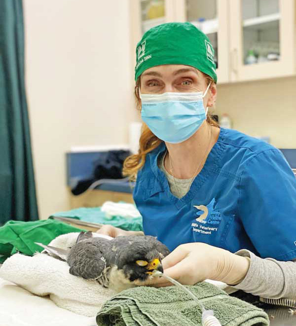 Heather Reid, DVM. Photo courtesy TWC
