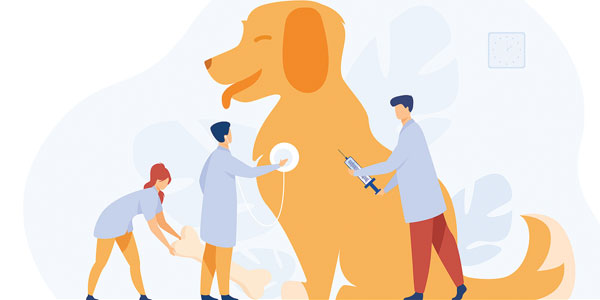 Under-utilizing veterinary technicians